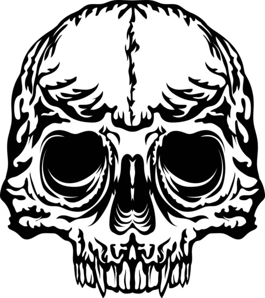 Skull Vector Illustration White Background — Stock Vector