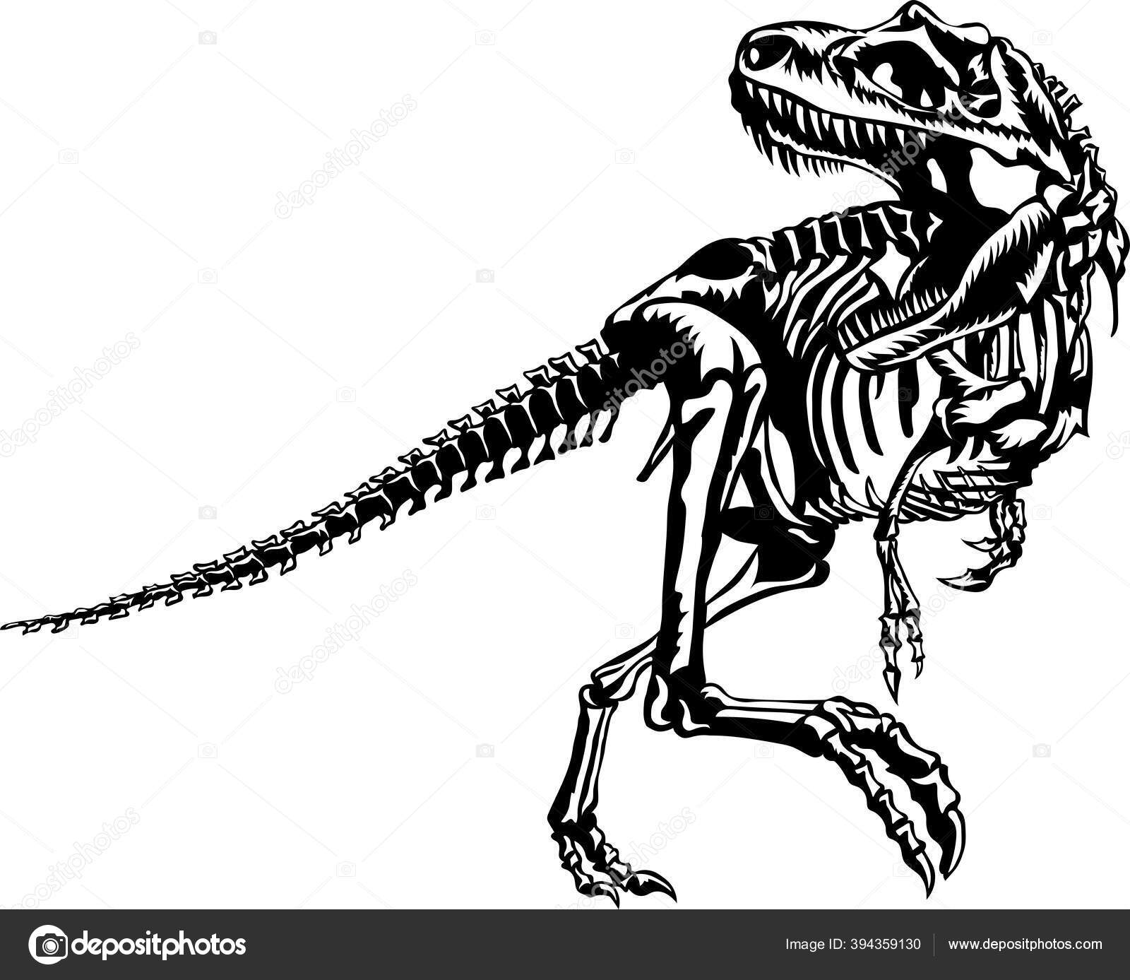 T rex esqueleto de dinossauro silhueta espacial negativa ilustração  vetor(es) de stock de ©jkazanceva 299125308