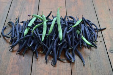 Masada mor kuşkonmaz fasulyesi var.