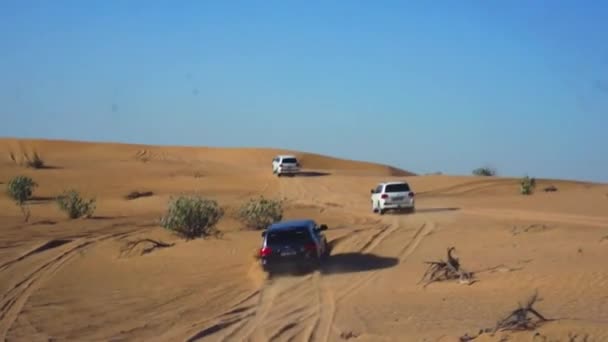 Viaje turístico en emocionantes tours por las dunas de arena de Dubai . — Vídeo de stock