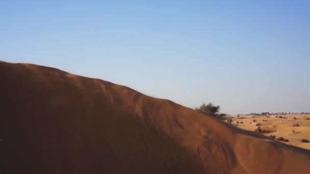 Paisaje de arena, maravillosas dunas. Desierto en Dubai . — Vídeo de stock