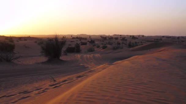 Sand dunes at sunset. Dubai. — Stock Video