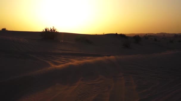 夕日の砂丘。ドバイ. — ストック動画