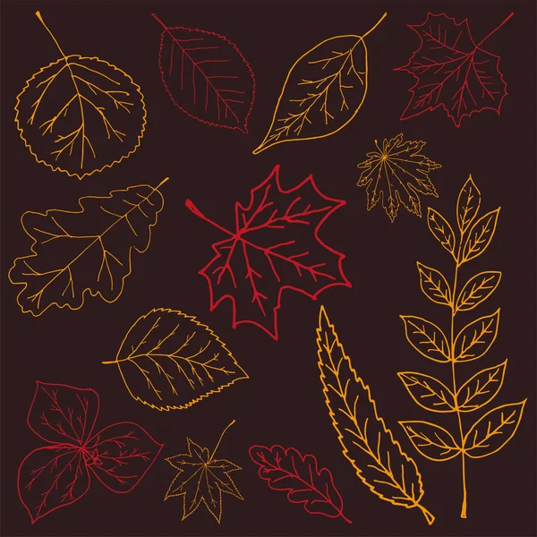 Herbst Hintergrund mit Hand zeichnen Doodle Blätter. — Stockvektor