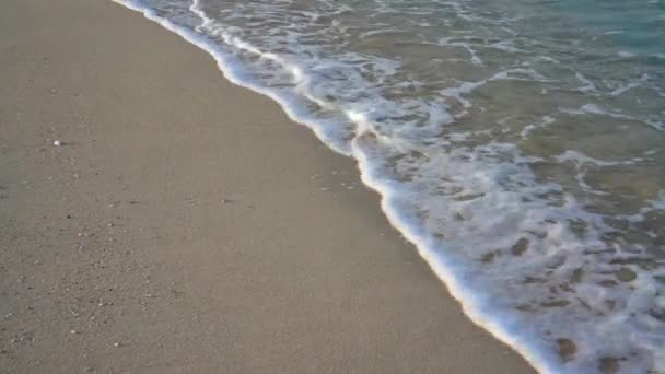 Våg av havet på sandstranden vid soluppgången. — Stockvideo