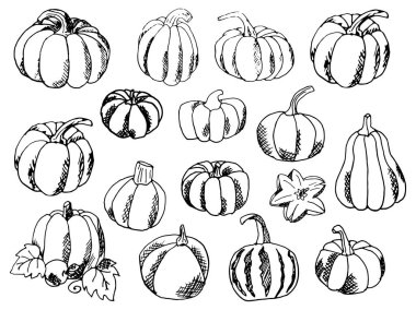 El-beraberlik doodle Pumpkins kümesi. Vektör çizim.