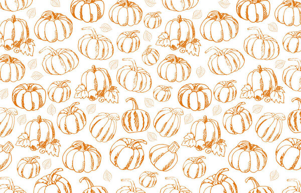 Autumn Backgrounds with Pumpkin for shopping sale, promo poster and frame leaflet, web banner. Vector illustration template.