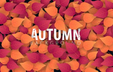 Sonbahar yaprakları arka plan alışveriş Satılık promo poster ve çerçeve belgesi, web afiş afiş. Vektör çizim.