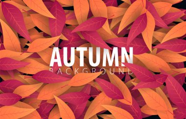 Sonbahar yaprakları arka plan alışveriş Satılık promo poster ve çerçeve belgesi, web afiş afiş. Vektör çizim.