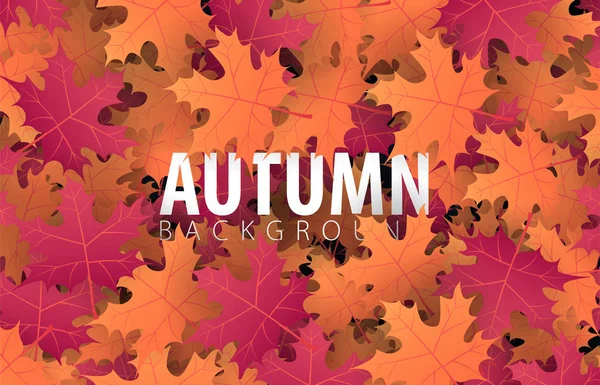 Banner de otoño con hojas de fondo para la venta de compras, póster promocional y folleto marco, banner web. Ilustración vectorial . — Vector de stock