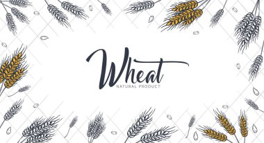 Fırın arka plan buğday ile. Doğrusal grafik. Ekmek afiş koleksiyonu. Ekmek evi. Vektör çizim.