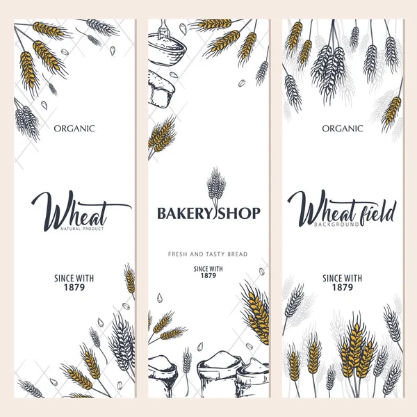 Set of Bakery backgrounds with wheats. Linear graphic. Bread banner collection. Bread house. Vector illustration. — Stock Vector