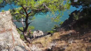 Phaselis'te tepeden Akdeniz'e manzara. Antik Likya şehri. Türkiye.