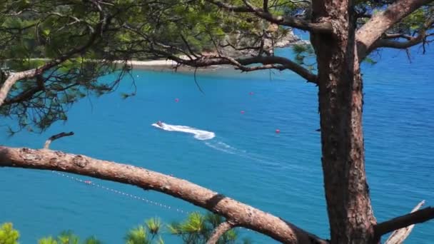 Vista desde la colina hasta el mar Mediterráneo en Phaselis con yate. Ciudad de la antigua Lycia. Turquía . — Vídeo de stock