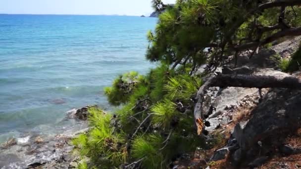 Vista desde la colina hasta el mar Mediterráneo en Phaselis. Ciudad de la antigua Lycia. Turquía . — Vídeos de Stock