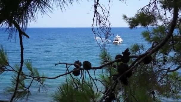 Pohled z kopce na Středozemní moře v Phaselis s jachtou. Město starověké Lycie. Turecko. — Stock video