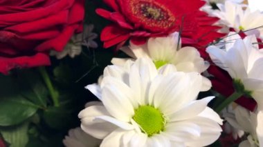 Kırmızı gül, papatya ve gerberas ile Çiçek Buketi.