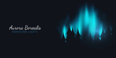Gece Gökyüzü, Aurora Borealis, Kuzey Işıkları Etkisi ormanın arkasındaki karanlık arka plan üzerinde. Gerçekçi Renkli kutup ışıkları.