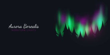 Gece Gökyüzü, Aurora Borealis, Kuzey Işıkları Etkisi ormanın arkasındaki karanlık arka plan üzerinde. Gerçekçi Renkli kutup ışıkları.