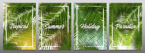 Ensemble de feuilles de palmier tropical d'été. Palmiers exotiques. milieux floraux . — Image vectorielle