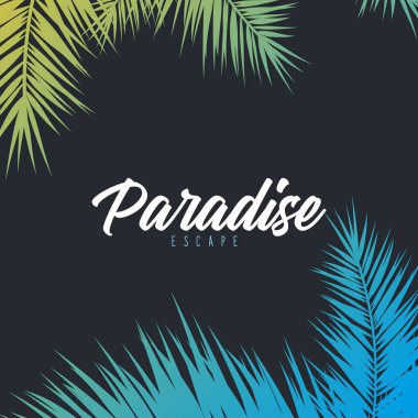 Yaz Tropikal palmiye yaprakları. Egzotik palmiye ağacı. Çiçek Arka Plan.