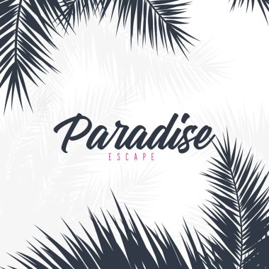 Yaz Tropikal palmiye yaprakları. Egzotik palmiye ağacı. Çiçek Arka Plan.