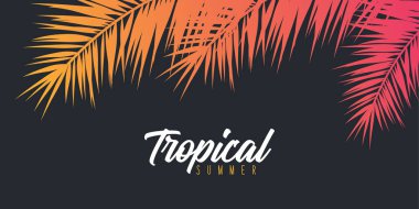 Yaz Tropikal palmiye yaprakları. Egzotik palmiye ağacı. Çiçek Arka Plan.