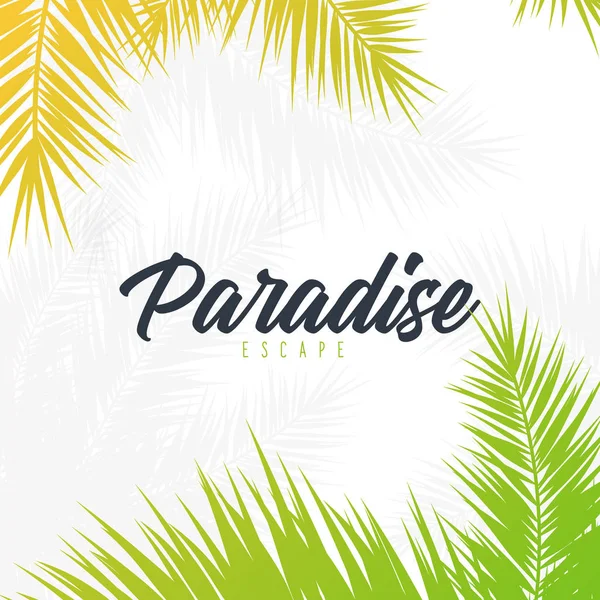 Yaz Tropikal palmiye yaprakları. Egzotik palmiye ağacı. Çiçek Arka Plan.