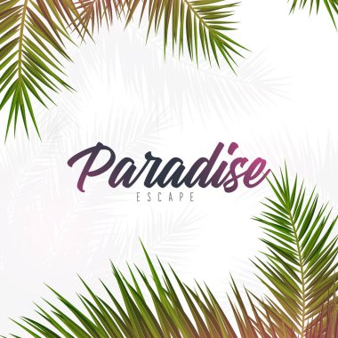 Yaz Tropikal palmiye yaprakları. Egzotik palmiye ağacı. Çiçek Arka Plan.