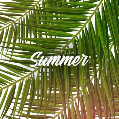 Yaz Tropikal palmiye yaprakları. Egzotik palmiye ağacı. Çiçek Arka Plan.