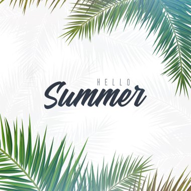 Yaz Tropikal palmiye yaprakları. Egzotik palmiye ağacı. Çiçek Arka Plan.