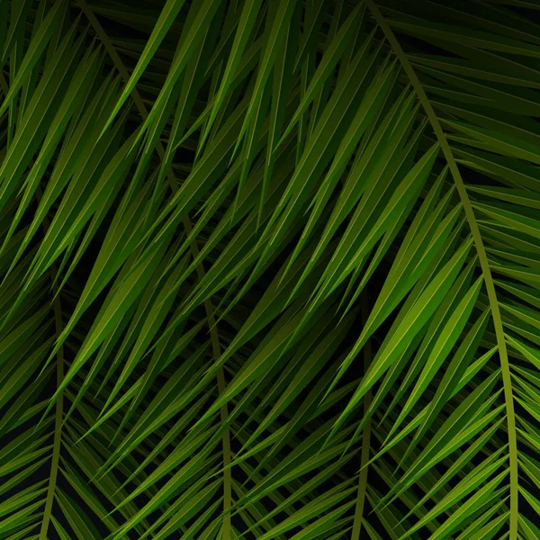 Tropiska palmblad. Exotiska palmer träd. Mörk blommig bakgrund. — Stock vektor