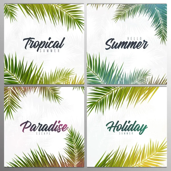 Uppsättning av sommar tropiska palmblad. Exotiska palmer träd. Blommig bakgrund. — Stock vektor