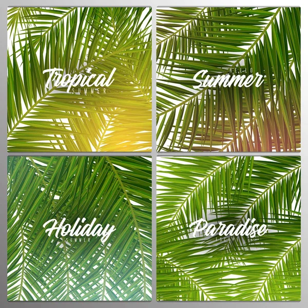 Set van zomer tropische Palm bladeren. Exotische palmen boom. Florale achtergrond. — Stockvector