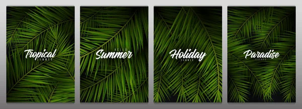 Ensemble de feuilles de palmier tropical. Palmiers exotiques. milieux floraux sombres . — Image vectorielle
