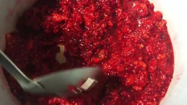 Rode frambozen jam in een pan koken. — Stockvideo
