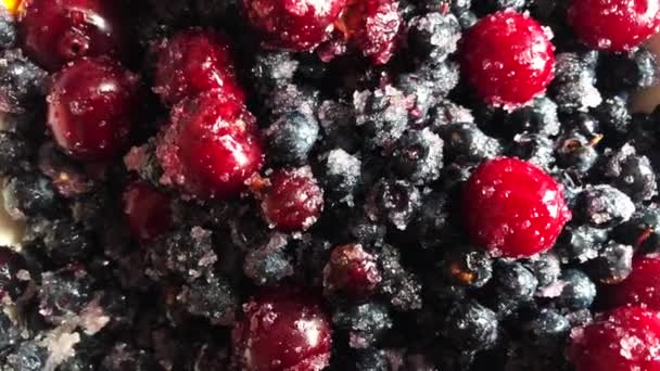 Blaubeeren und Kirschen in Zucker und in einem weißen Teller. — Stockvideo