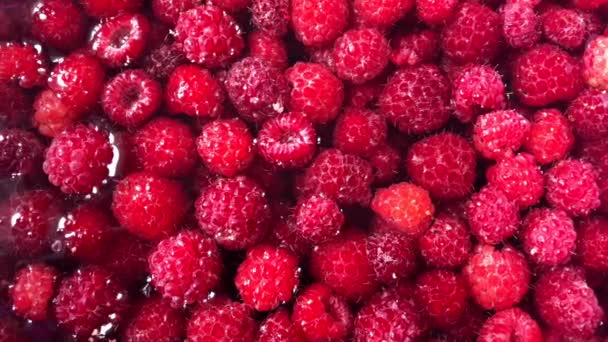 Red raspberries in a cup of water. — Stock Video