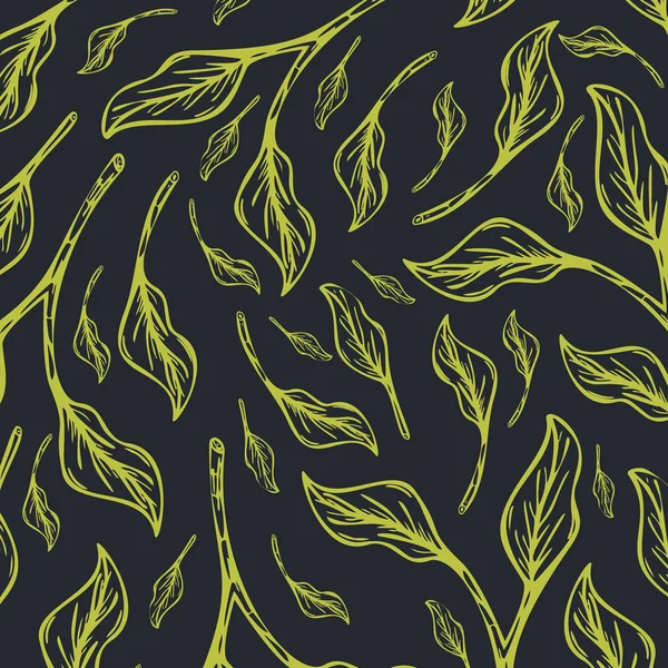 Grüntee-Banner mit handgezogenen Blättern auf dem Hintergrund. — Stockvektor