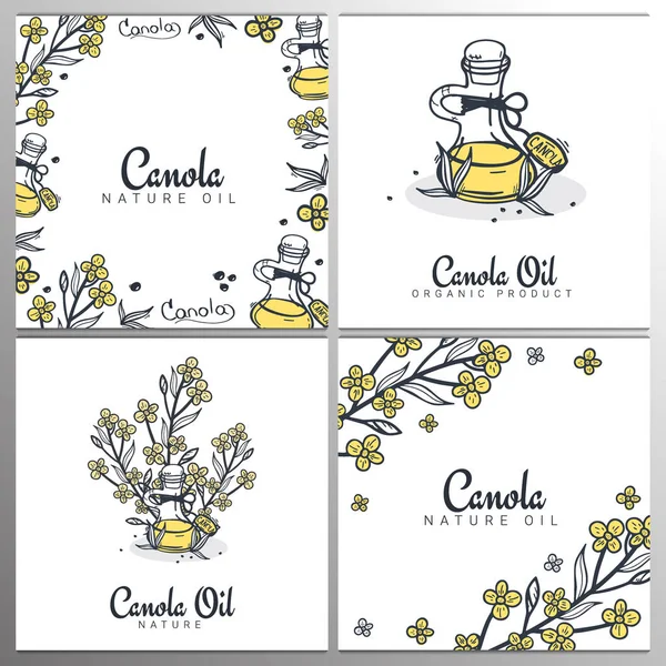 Conjunto de bandeiras de óleo de colza e canola. Natureza Produto orgânico . —  Vetores de Stock