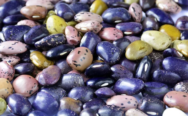 Feijões Perto Comida Saudável Feijão Proteína Proteica — Fotografia de Stock