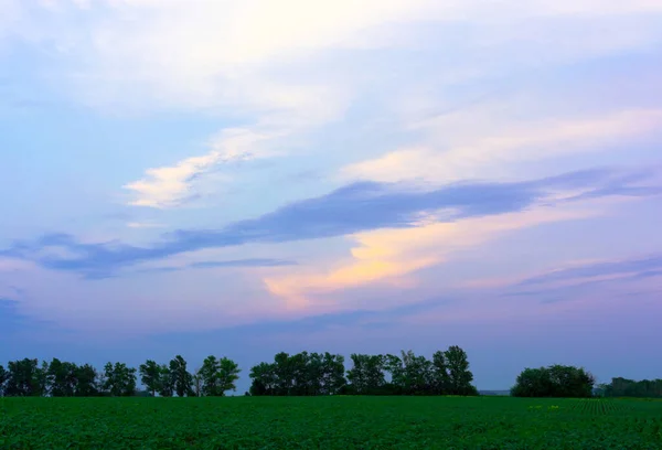 畑や牧草地で日没の日の出 明るい劇的な空と暗い地面 風光明媚なカラフルな空の下で田舎の風景日の出 — ストック写真