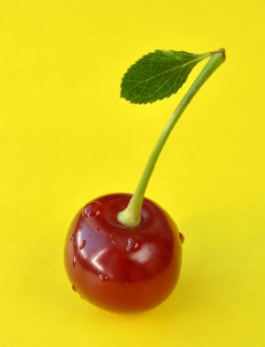 Sarı zemin üzerinde su damlaları olan olgun kırmızı bir kiraz.