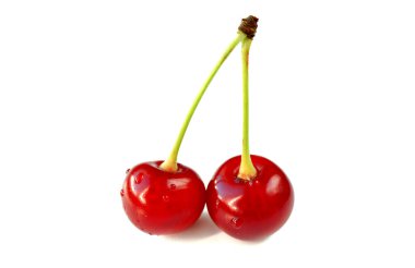 Kırmızı kiraz, beyaz arka planda su damlalarıyla yakın plan..