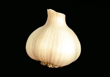 Siyah arka planda genç bir sarımsak. Ön manzara, izolatörler.