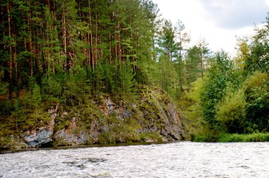 Rezsh Nehri. Kozalaklı yaz mevsimi.