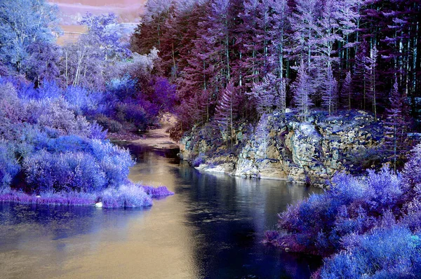 Fabulous landscape with forest and river in rocky shores