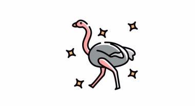 Doğa temalı web siteleri, çocukların eğitim içeriği veya ilginç sosyal medya paylaşımları için devekuşu simgesi animasyonu.