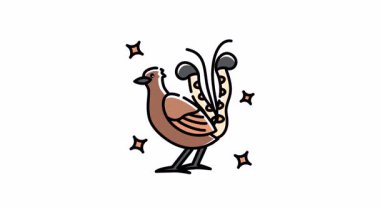 Canlandırılmış lyrebird, yıldızların ortasında ibikli bir ateş kuşu sergiliyor. Doğa belgeselleri, eğitim videoları veya vahşi yaşamı koruma projeleri için uygundur.