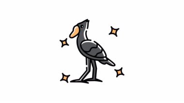 Ayakkabı gagalı leylek animasyonu kuş izleme siteleri, doğa blogları ve vahşi yaşam dergileri için mükemmel..